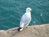 img53.jpg