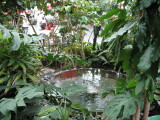 img56.jpg