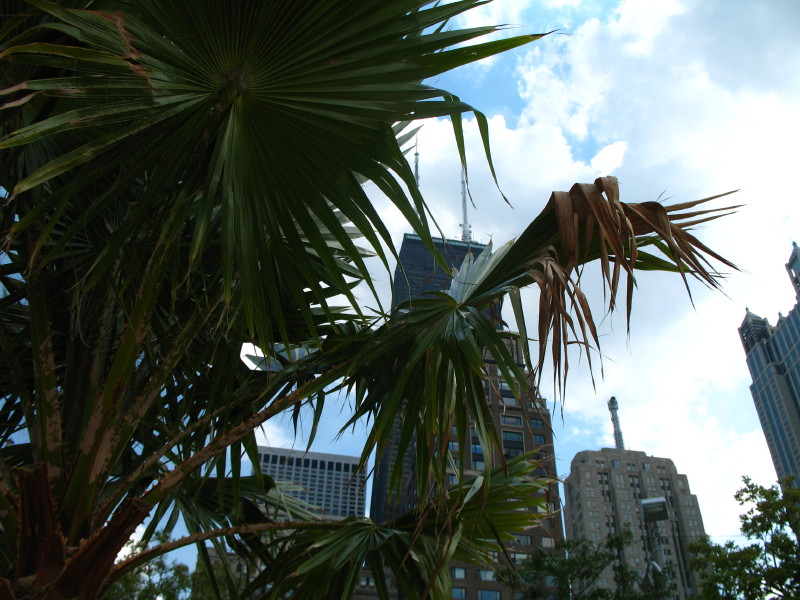 Downtown photo