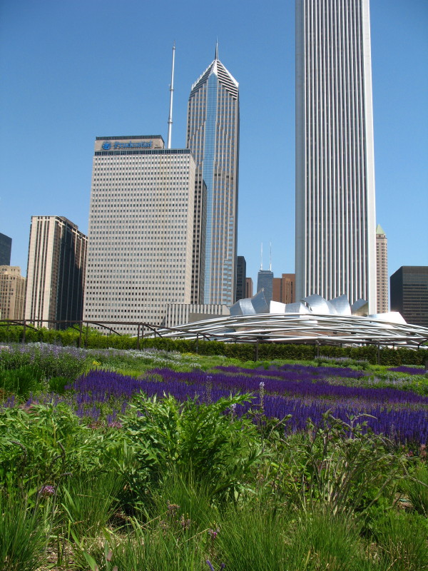 Downtown'07 photo