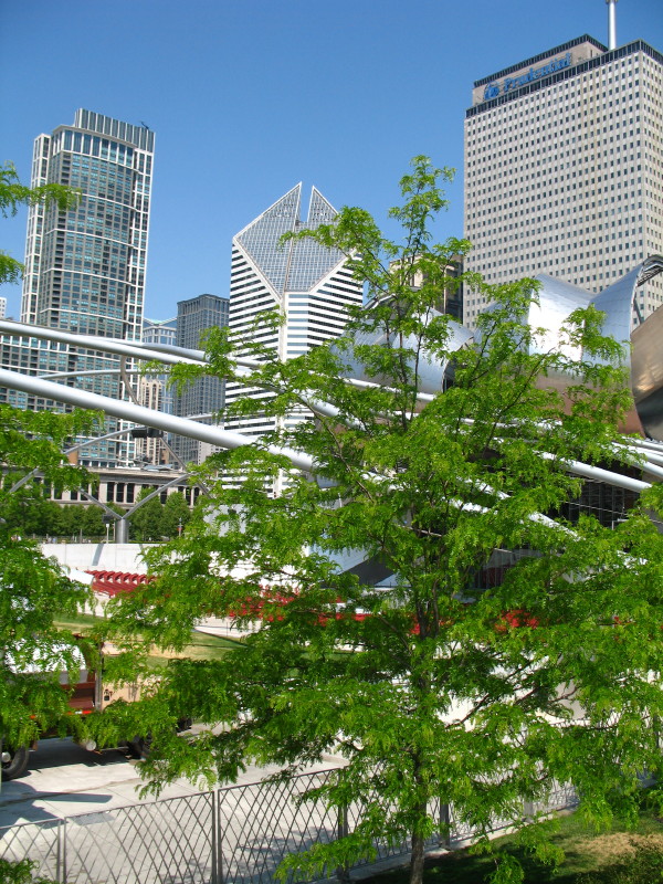 Downtown'07 photo