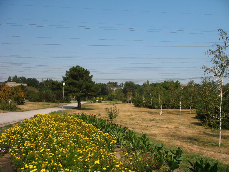Zaporizhzhya'08 photo
